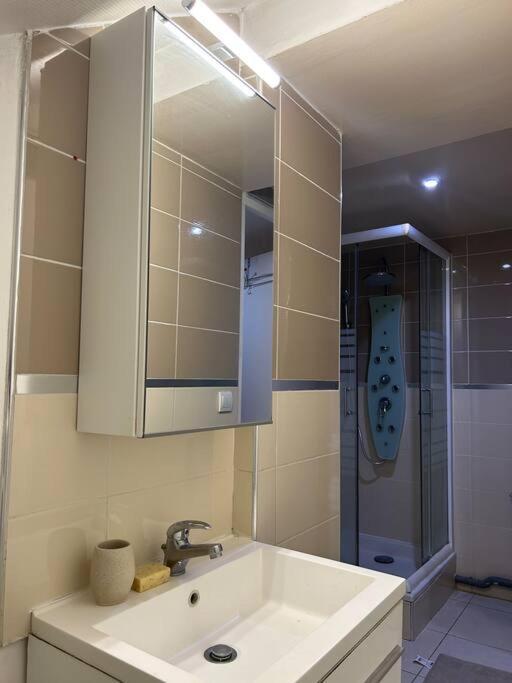 Cosy Studio - 10 Min Away From Cdg Aeroport - 30 Min Away From Paris - Parc Asterix - Olympic Games 2024 Le Thillay Buitenkant foto